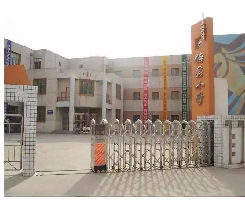 在為選什么款式的課桌椅發愁？看廣州怡園小學的
